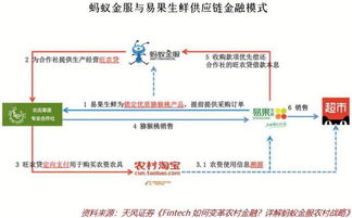 互聯(lián)網(wǎng)金融在三農(nóng)領域大有可為 互聯(lián)網(wǎng)銷售助力鄉(xiāng)村振興